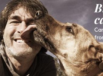 Exploring Brucella canis, a Contagious Dog Disease that People Can Get